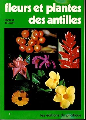 Fleurs et plantes des Antilles