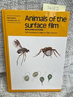 Animals of the Surface Film