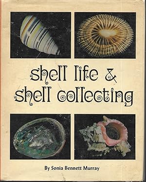 Shell Life & Shell Collecting