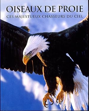 Oiseaux De Proie : Ces Majestueux Chasseurs Du Ciel