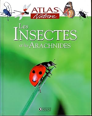 Les insectes et les arachnides