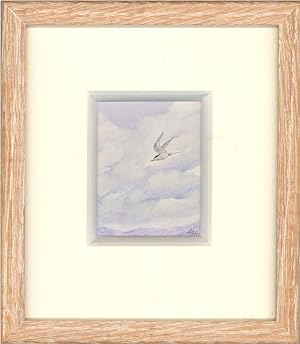 Gwen Christie - 20th Century Watercolour, Arctic Tern