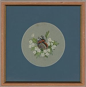 Ray G. Lewis - 20th Century Gouache, Red Admiral on Hawthorn