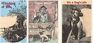 Its A Dogs Life Pied Piper Pipe Smoking 3x Dog Greeting Postcard s