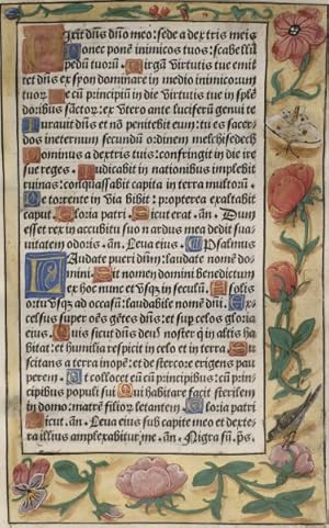 Printed leaf on vellum with illuminated flower borders (framed)