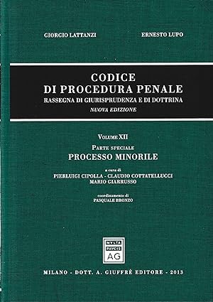 Codice Di Procedura Penale Rassegna Vol. 12: parte speciale, processo minorile