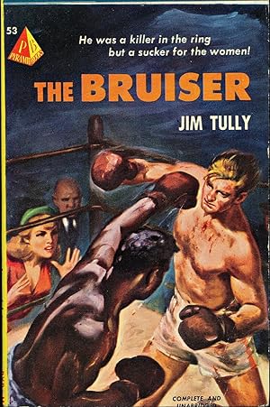 The Bruiser (Vintage Paperback)