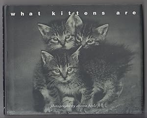 What Kittens Are