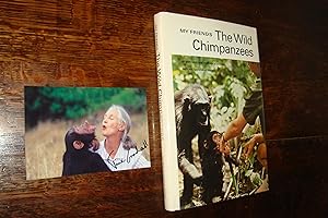 My Friends the Wild Chimpanzees (first printing + signed photo)