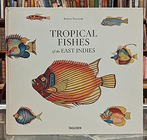 Tropical Fishes of the East Indies