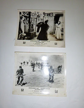 A group of 10 original photographs for the filmRaintree County (French version L'Arbre de Vie).