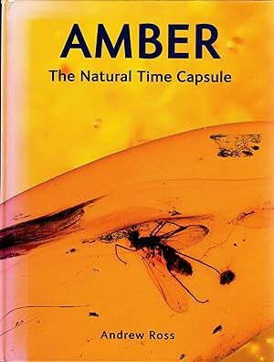 Amber The Natural Time Capsule