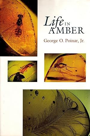 Life in Amber