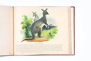 Bound volume of coloured separately-issued prints, including the Australian kangaroo and emu