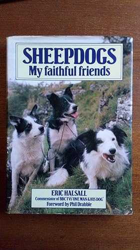 Sheepdogs: My Faithful Friends