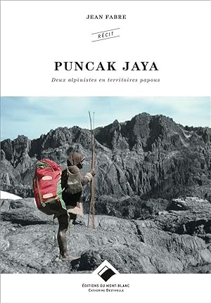 Puncak Jaya ; deux alpinistes en territoires papous