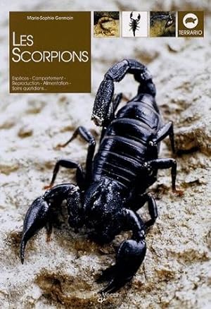 les scorpions ; espèces, comportement, reproduction, alimentation, soins quotidiens.