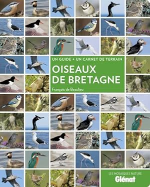 oiseaux de Bretagne