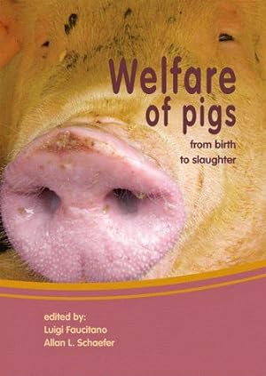 welfare of pigs ; from birth to slaughter
