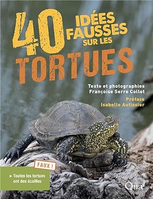 40 idées fausses sur les tortues