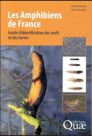 les amphibiens de France ; guide d'identification des oeufs et des larves (2e édition)