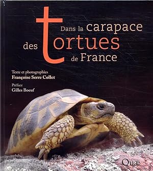 dans la carapace des tortues de France