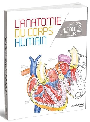 l'anatomie du corps humain ; en 215 planches à colorier