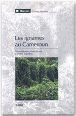 Les ignames au Cameroun