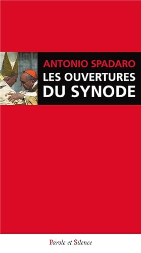 les ouvertures du synode