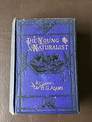 The Young Naturalist A Handy Volume upon the Collection, Preservation, and Arrangement of Butterf...