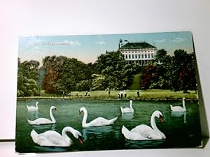 Zwickau i. Sa., Schwanenschloss. Alte Ansichtskarte / Lithographie farbig gel. 1912. Blick über S...