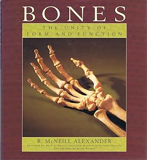 Bones: The Unity of Form and Function