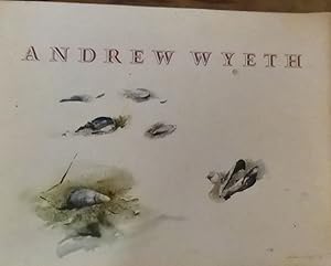 Andrew Wyeth: Boston Museum