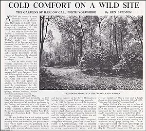 Cold Comfort on a Wild Site: The Gardens of Harlow Car, North Yorkshire. Several pictures and acc...