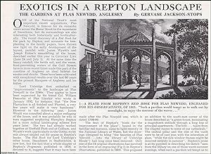 Exotics in a Repton Landscape: The Gardens at Plas Newydd, Anglesey. Several pictures and accompa...