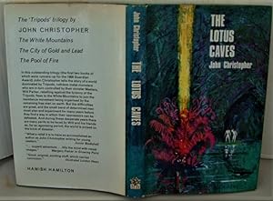 The Lotus Caves