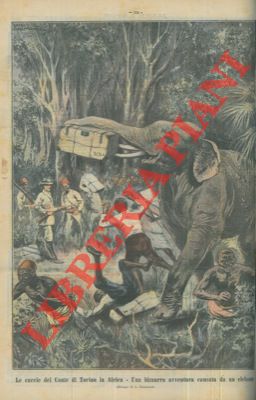 Le caccie del Conte di Torino in Africa. Una bizzarra avventura causata da un elefante.