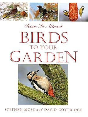 How To Attract Birds To Your Garden :