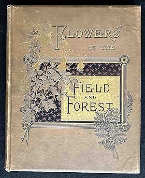Flowers of the Field and Forest from Original Water-Color Drawings after Nature