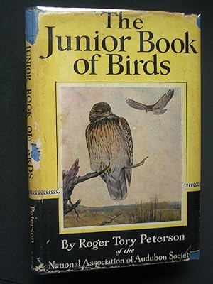 The Junior Book of Birds