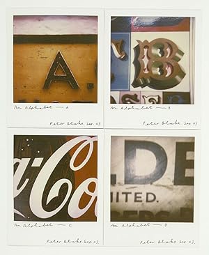 Alphabets. Text by Mel Gooding.