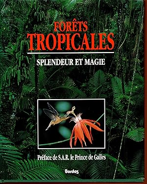 Forêts tropicales : splendeur et magie