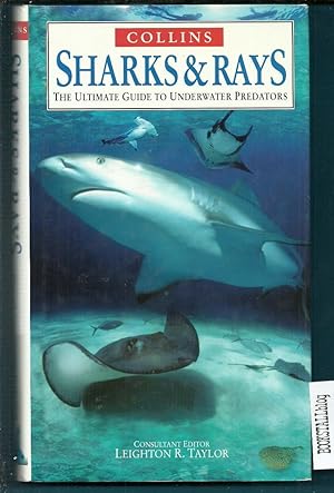 Collins Sharks and Rays : The Ultimate Guide To Underwater Predators