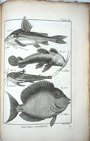 Tableau Encyclopédique et Méthodique des Trois Règnes de la Nature: Ichthyologie (Plates only)