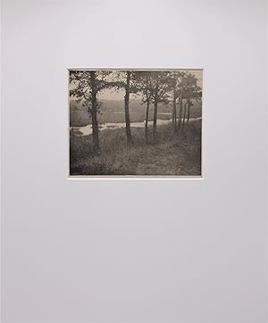 "Decorative Landscape" (Original Photogravure from CAMERA NOTES)