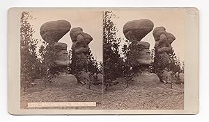 MAN AND WIFE, MANITOU PARK (albumen stereoview)