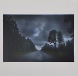 Untitled #11342-0103, 2013 (Signed Photograph)