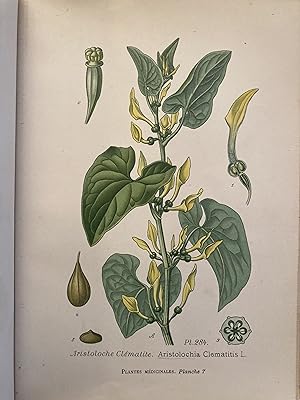 Atlas des plantes médicinales et vénéneuses de France.