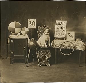Original photograph of Trixie the Wonder Dog, circa 1920s