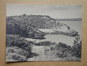 Coastal Landscape near Brixham.